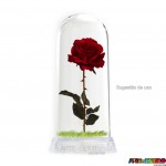 05 Redoma Cúpula de Acrílico com Base Transparente  Modelo P 11 cm 