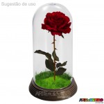 05 Redoma Cúpula de Acrílico com Base Dourada  Modelo P 11 cm 