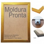 1 Moldura Pronta - 40X60 cm